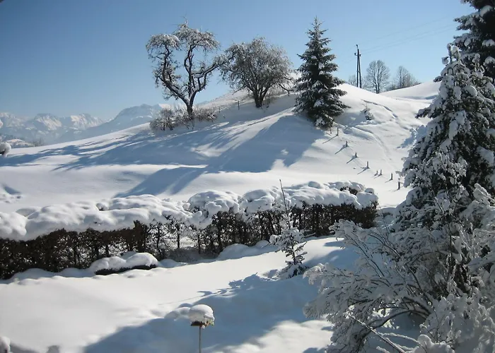 Gaestehaus Bachtl 3*